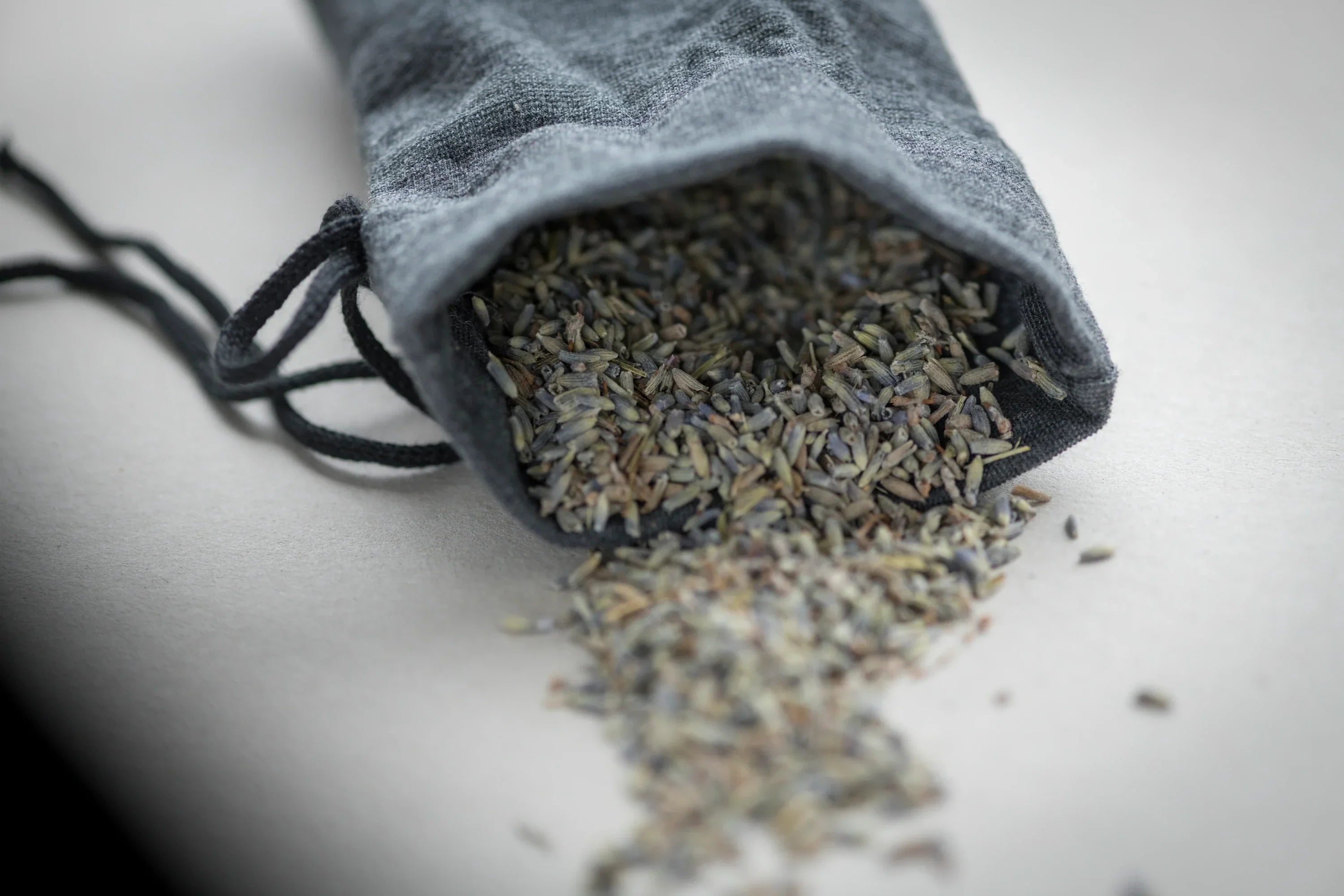 Wir sagen es der Motte durch die Blume