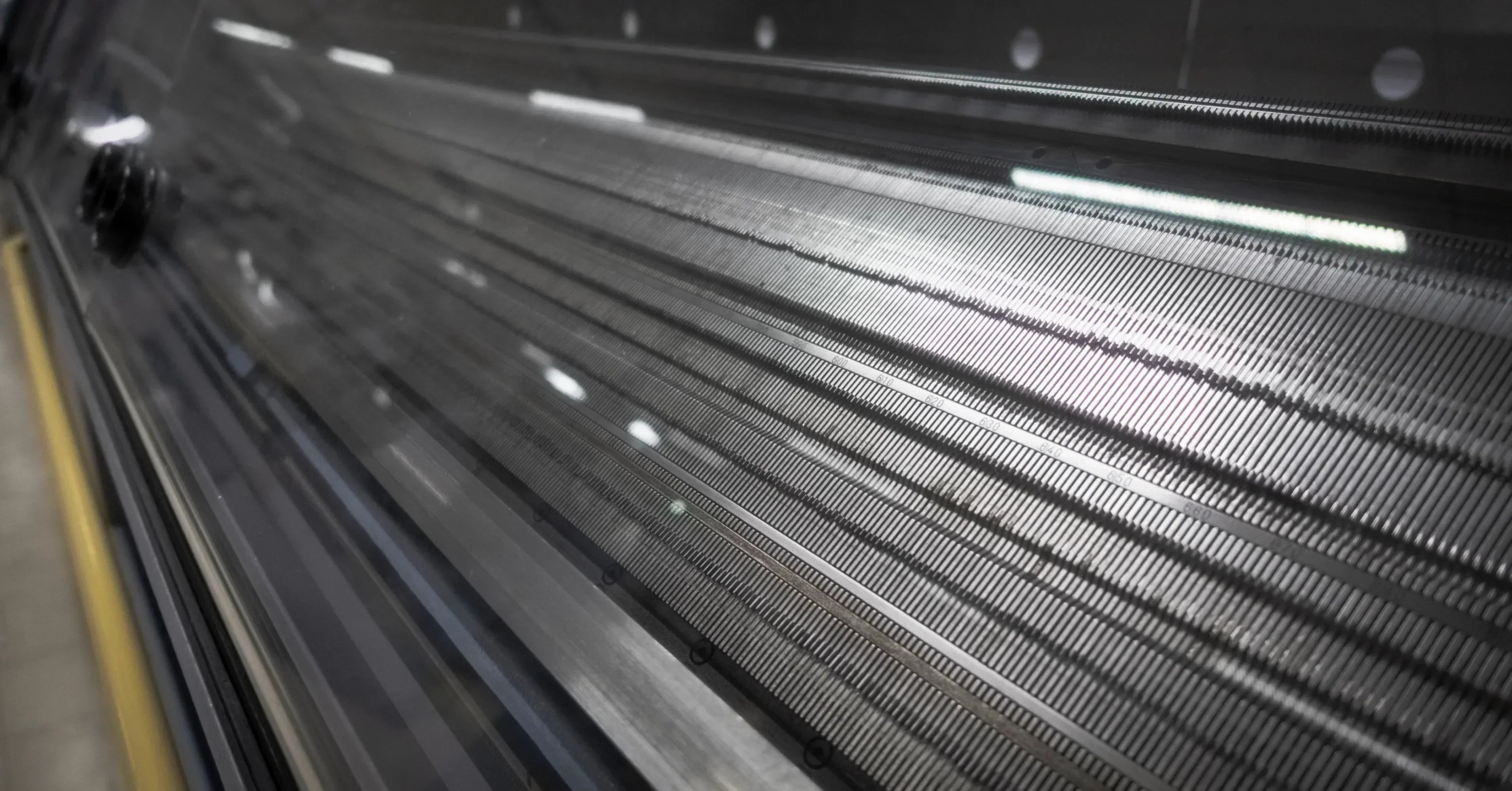 Warum wir auf Dinosaurier setzen