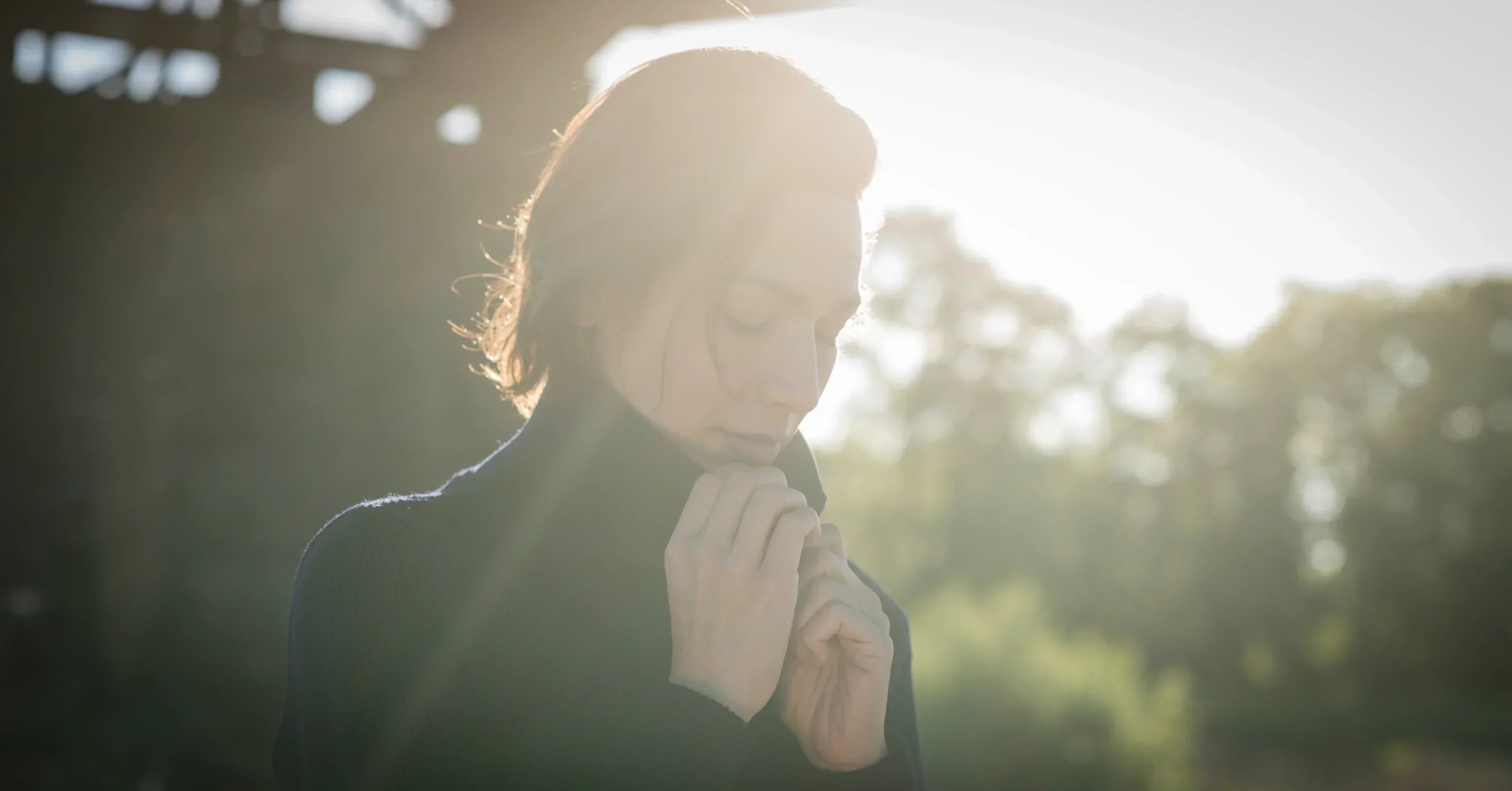 Wolle: Die unübertroffene Naturfaser