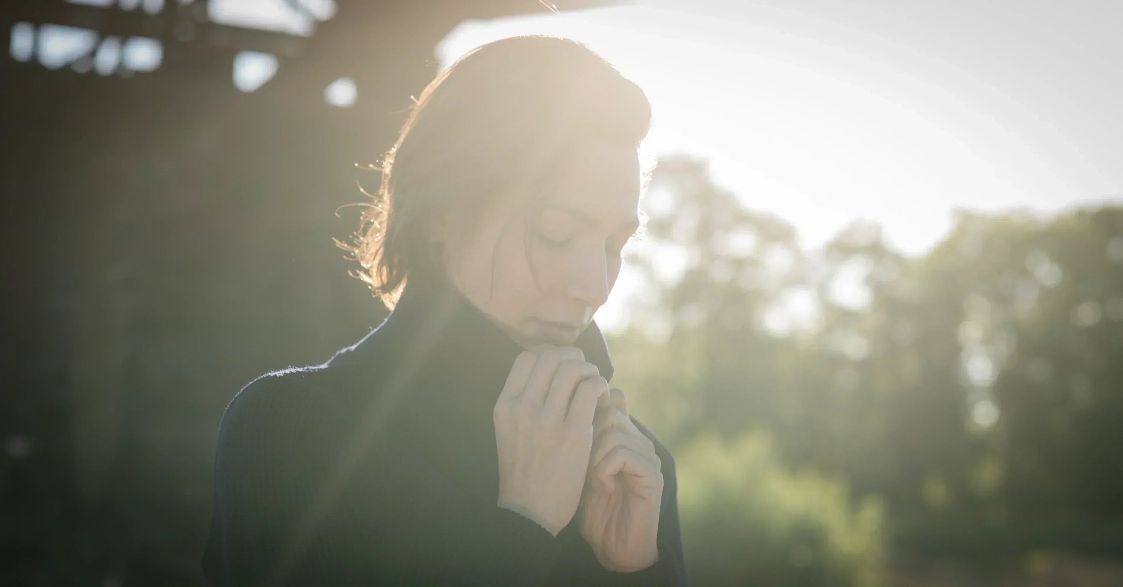 Wolle: Die unübertroffene Naturfaser