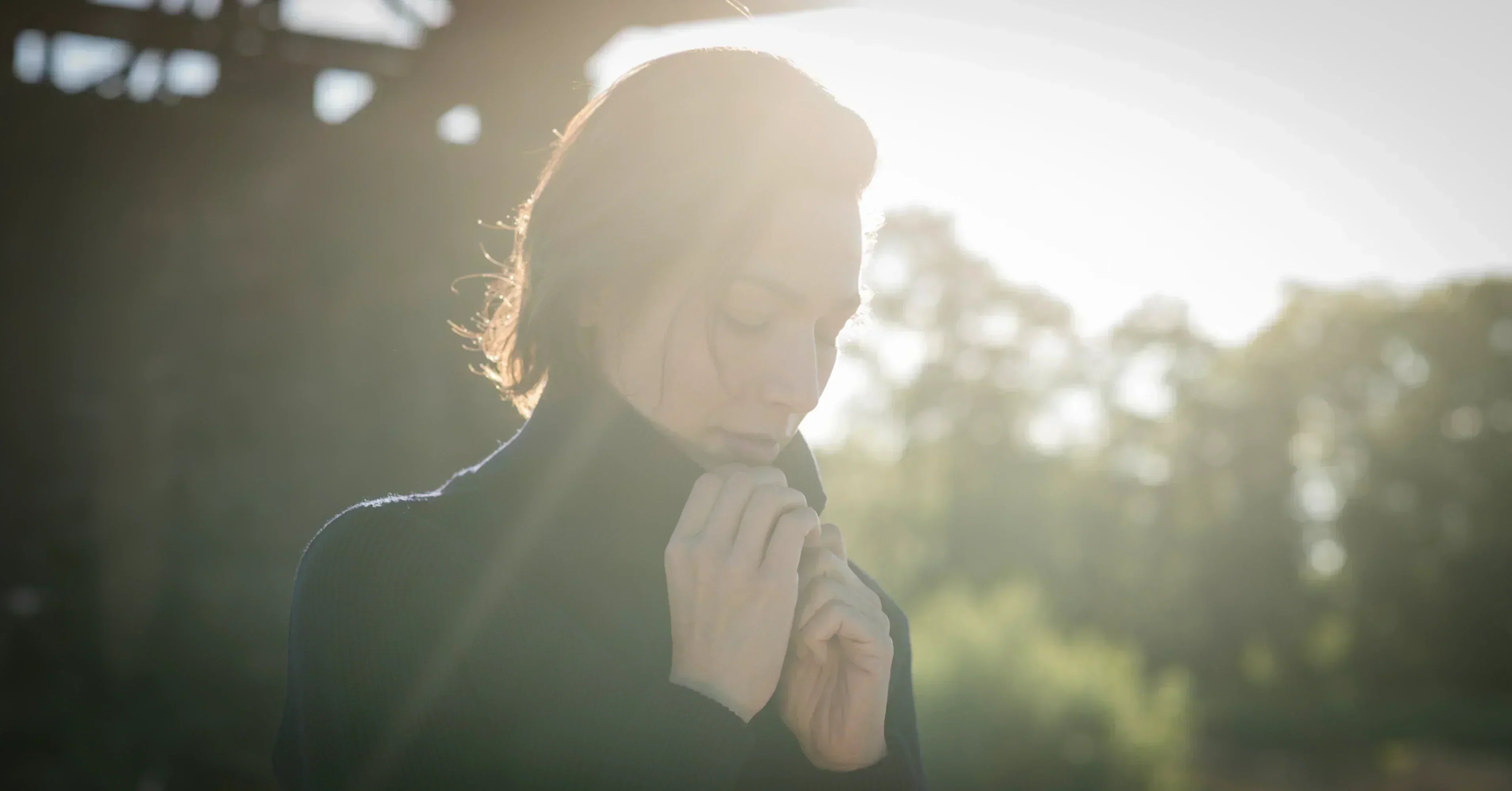 Wolle: Die unübertroffene Naturfaser